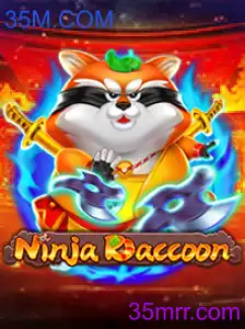 NinjaRaccoon